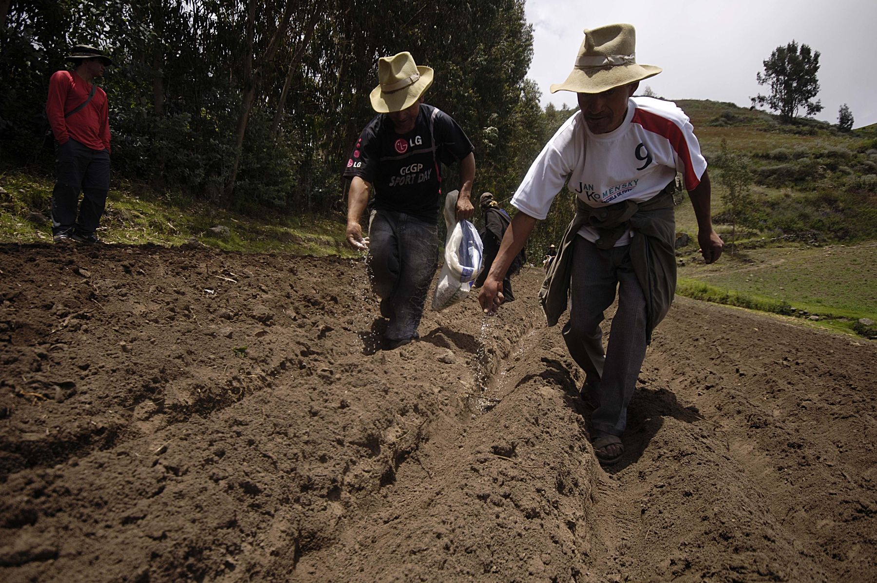 Precios de los fertilizantes llegarán a su pico