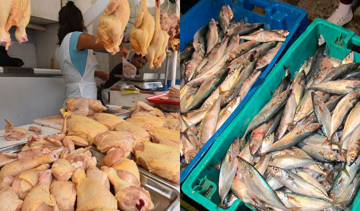 Precios del pollo y del pescado mantienen tendencia a la baja