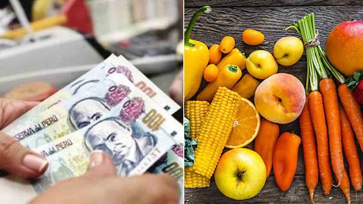 Bono alimentario se pagará desde el 15 de agosto a los programas sociales