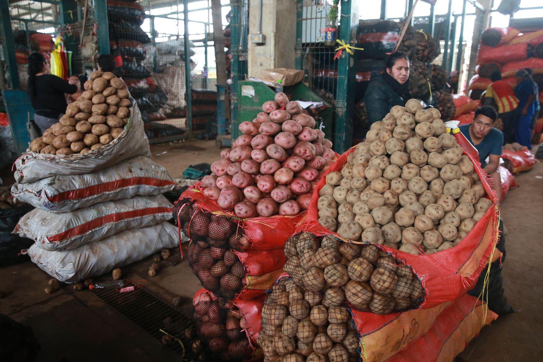 Precio de la papa alcanza los S/7.00 en mercados de Lima