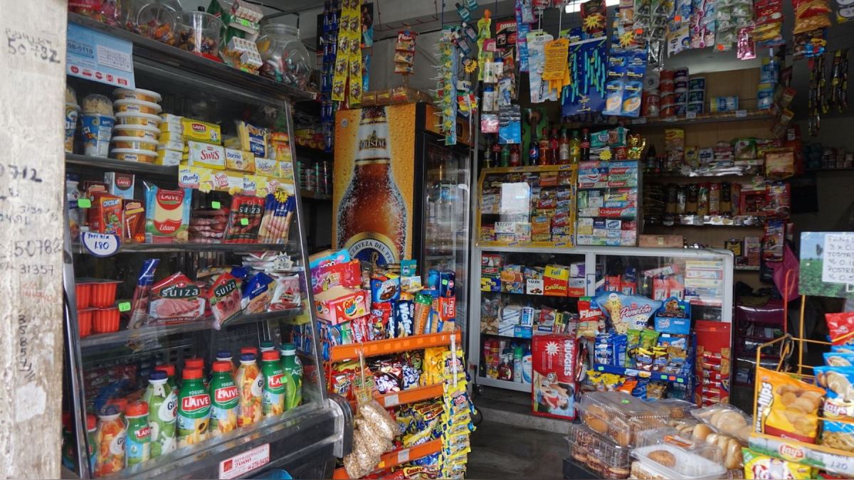 Bodegas crecieron 25 % el 2023, a pesar de la inseguridad y la recesión