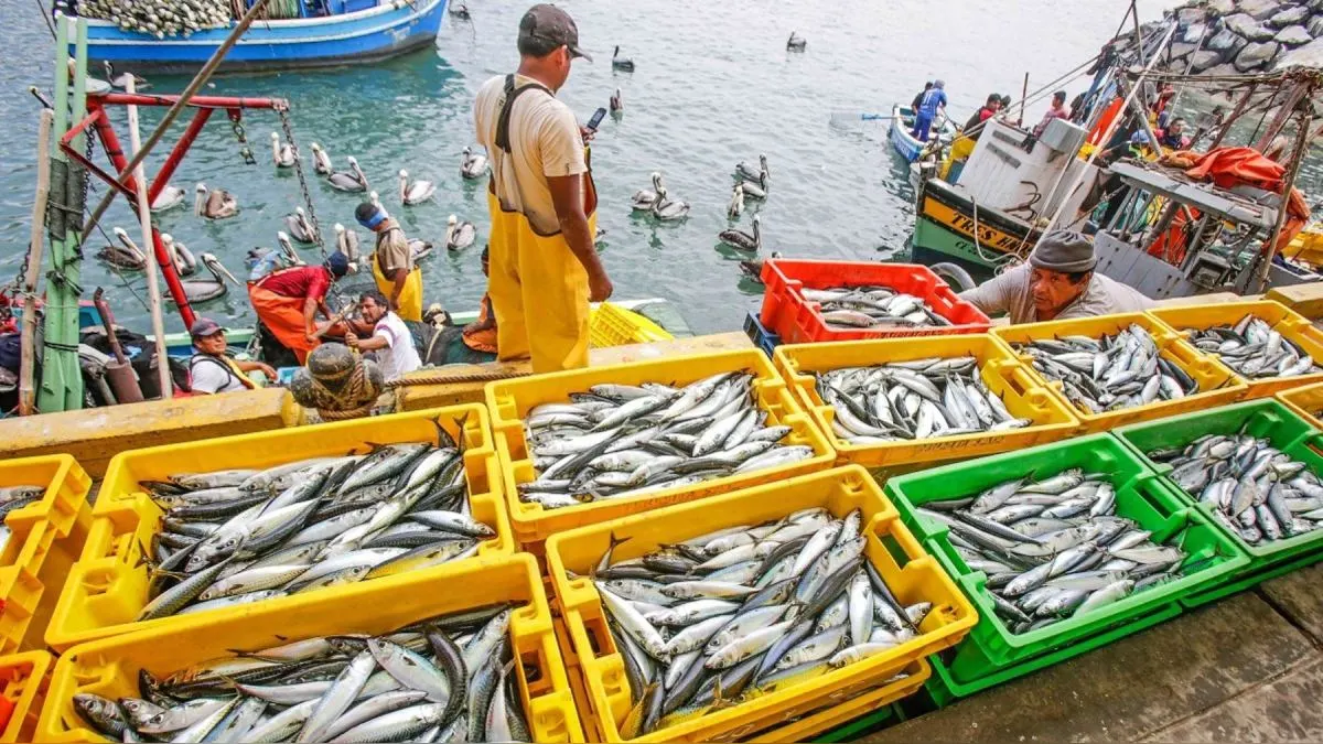 ¡Confirmado! Economía peruana cayó 0.55 % en el 2023