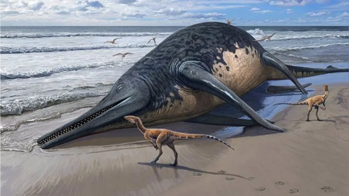 Hallan fósil de reptil marino gigante: medía 25 metros de largo y fue contemporáneo de dinosaurios