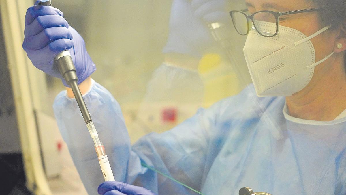 Hallan nuevas respuestas inmunitarias que explican cómo algunas personas evitan la covid R