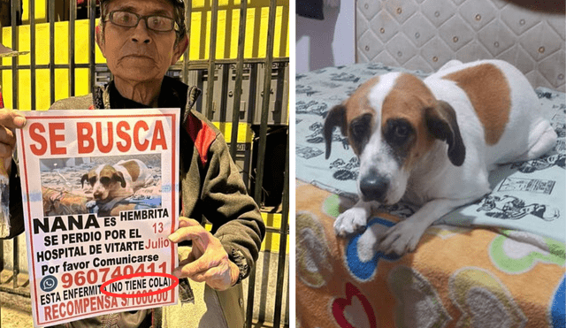 Miguel Ángel perdió a su perrita hace un año: “Todos los días salgo en bicicleta a buscar a Nana”