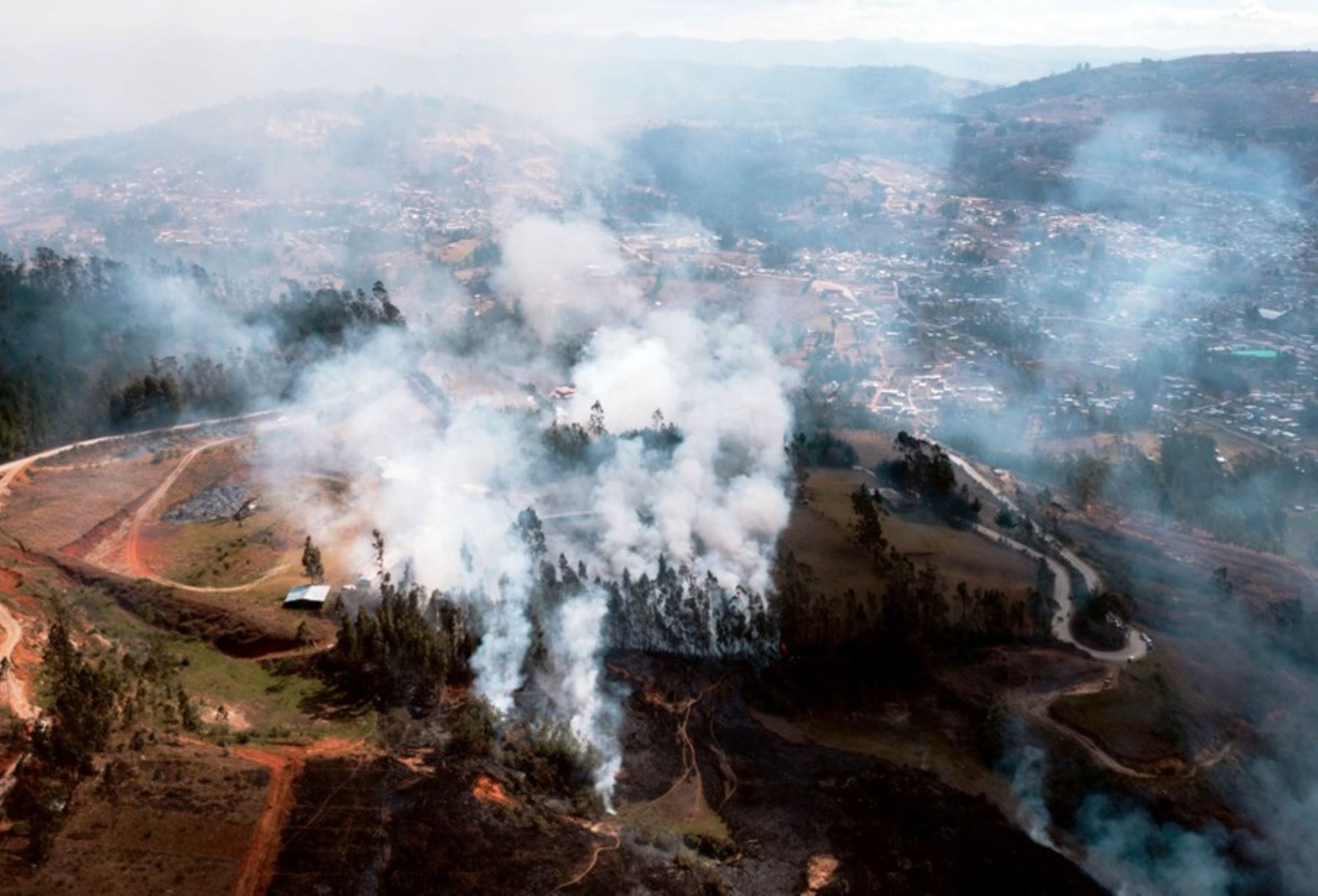 Cajamarca: Incendios forestales afectan más de 100 hectáreas de plantaciones en Celendín