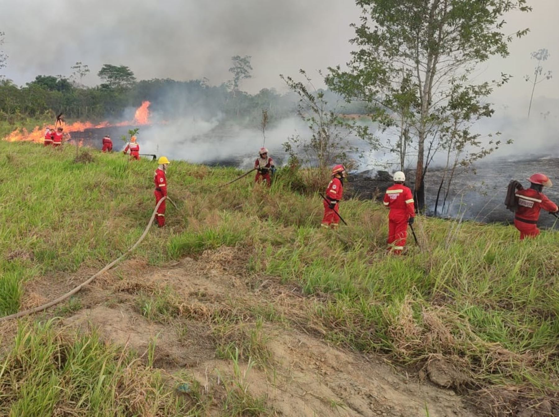Incendio forestal devastó 400 hectáreas de comunidad nativa Puerto Firmeza en Ucayali