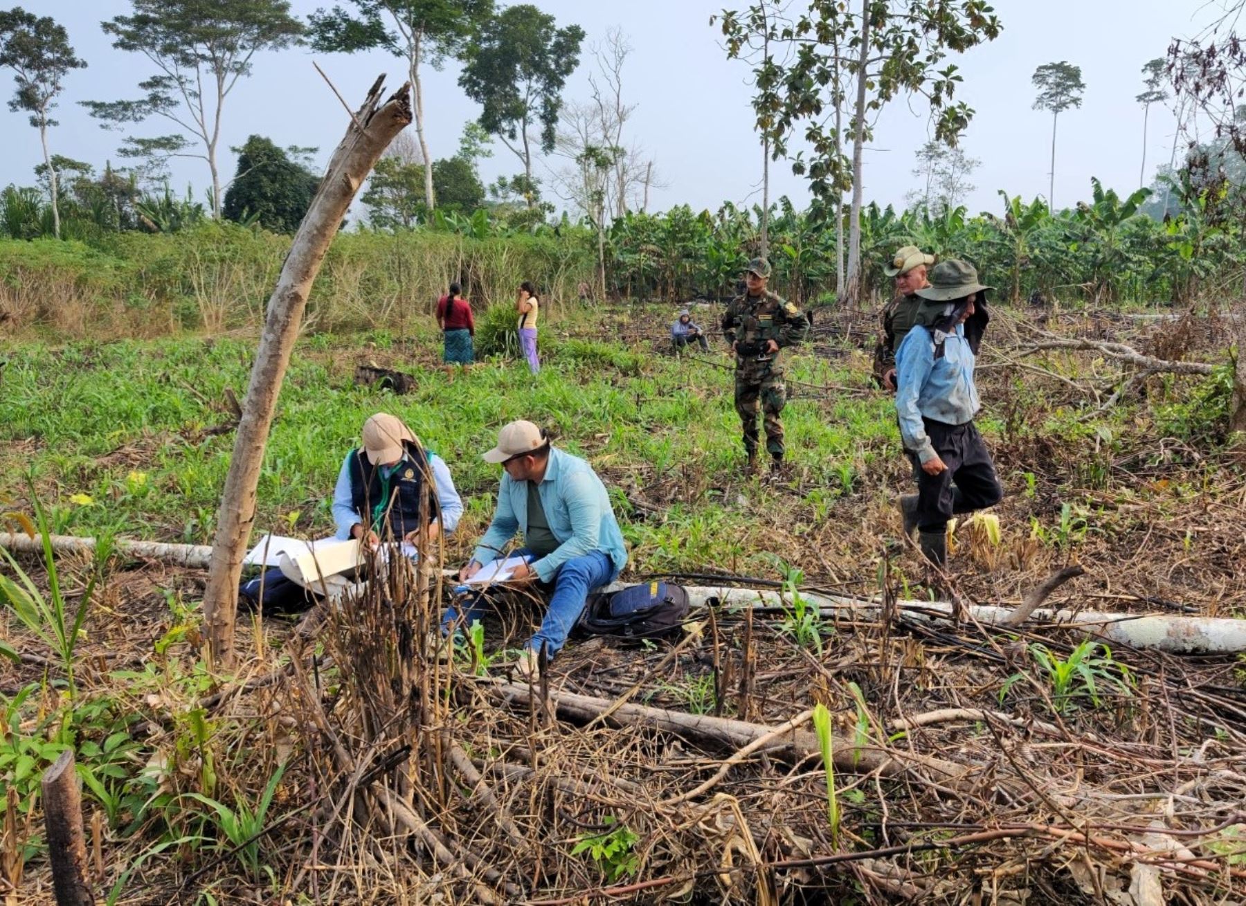 Cambio climático: Perú cuenta con herramientas jurídicas para combatir la deforestación