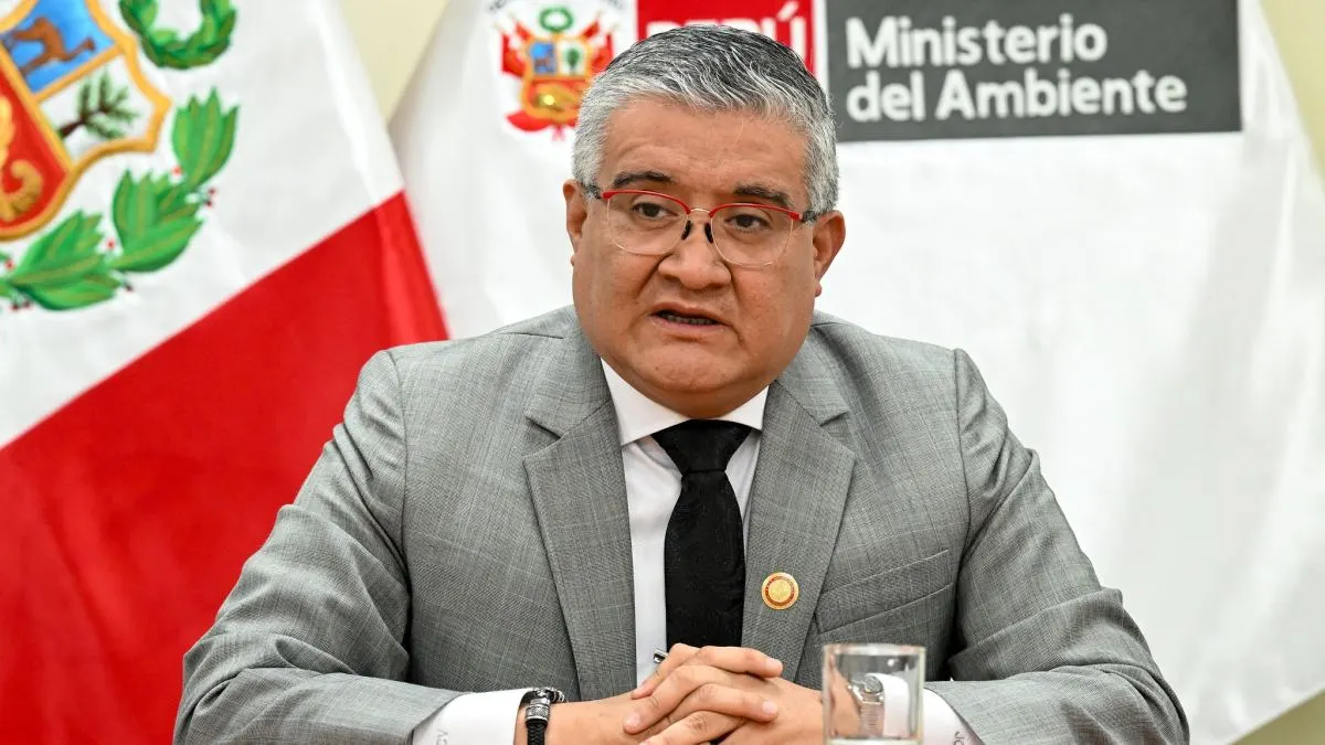 Ministro del Ambiente dijo que presentará proyecto de ley para sancionar a causantes de incendios forestales