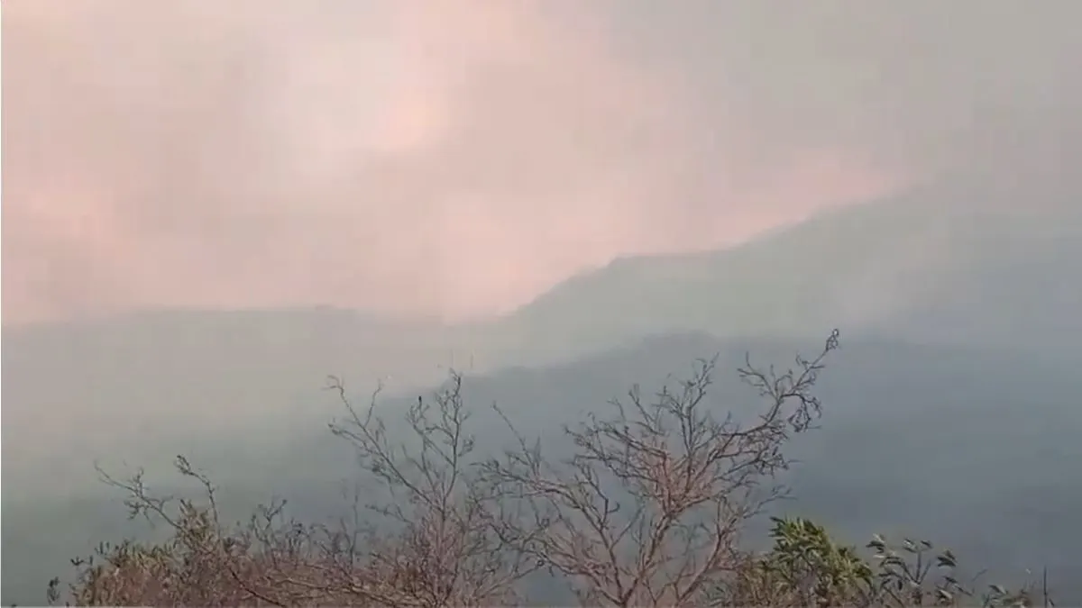 Amazonas: cerca de 700 hectáreas se han visto afectadas por un incendio forestal en el área de conservación Milpuj