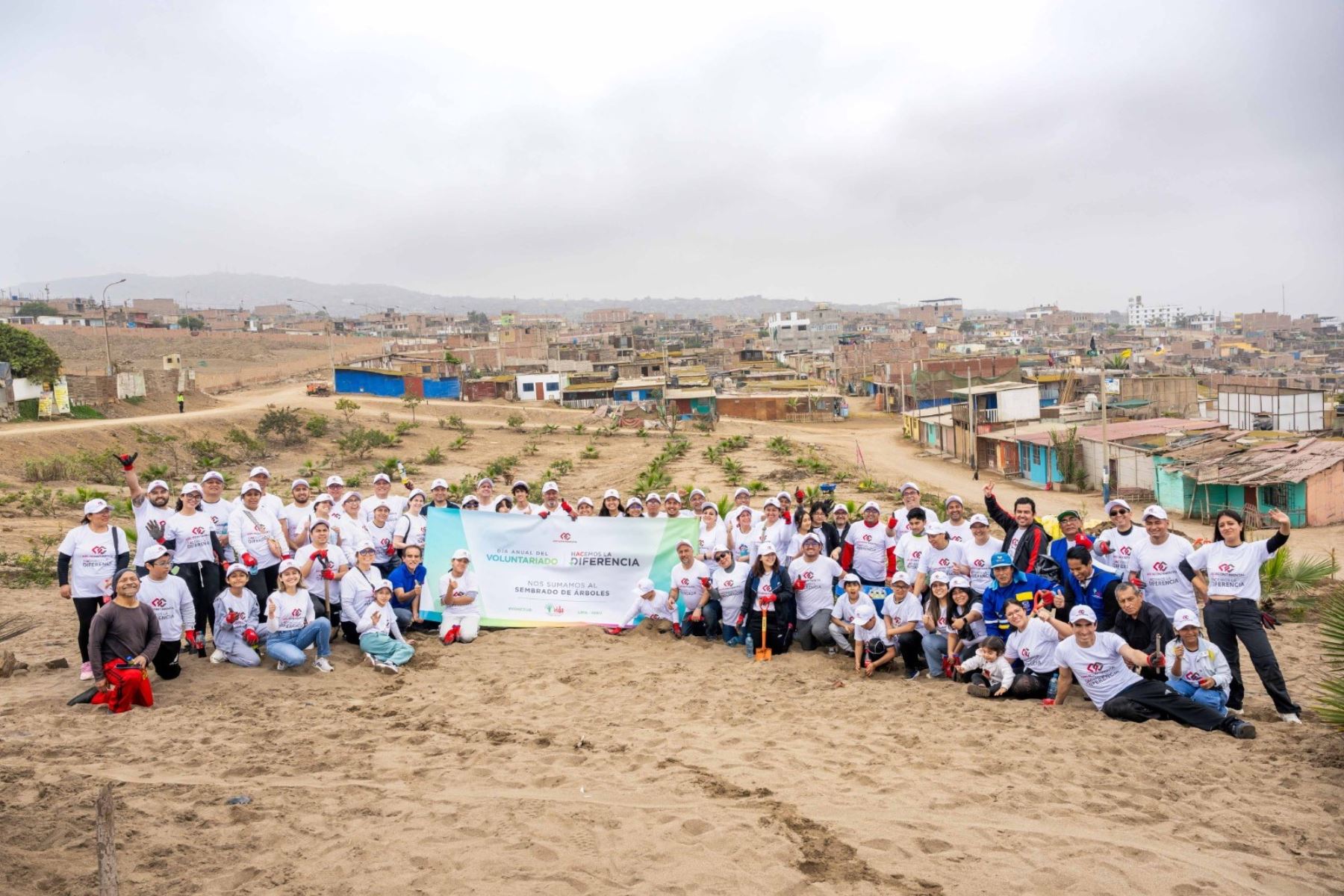 Voluntarios siembran mil árboles en Cusco, Iquitos, Arequipa, Trujillo y Callao