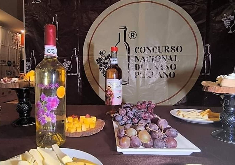 Vinos de Tacna ganan medallas de oro y plata en V Concurso Nacional que se realizó en Ica