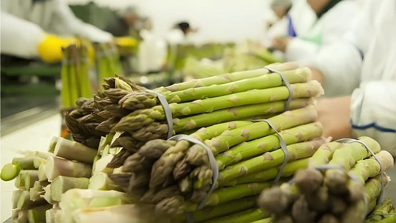 Agroexportaciones peruanas lograron ventas por más de $ 6,700 millones, ¿cuáles fueron sus países de destino?