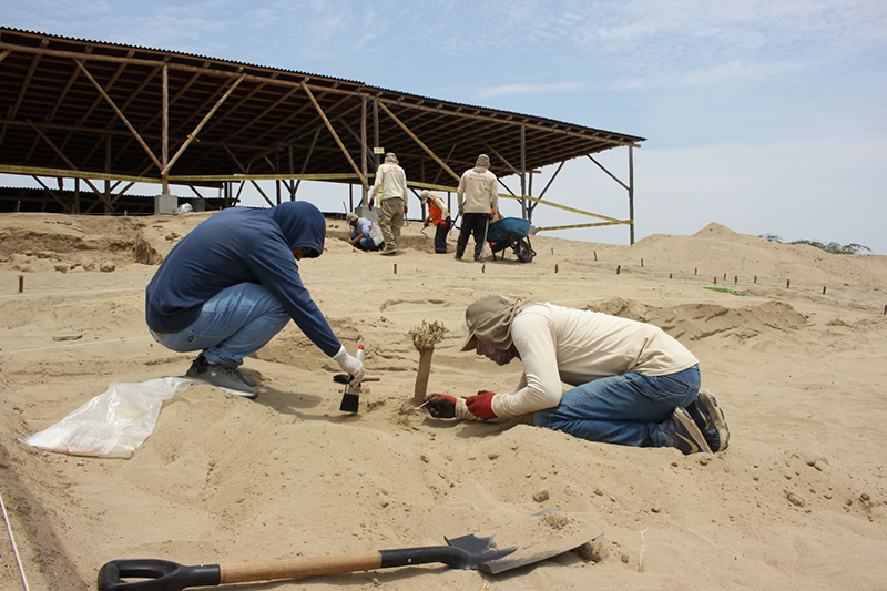 Investigación arqueológica busca hallar vestigios de estructuras mochica en Huaca Bandera