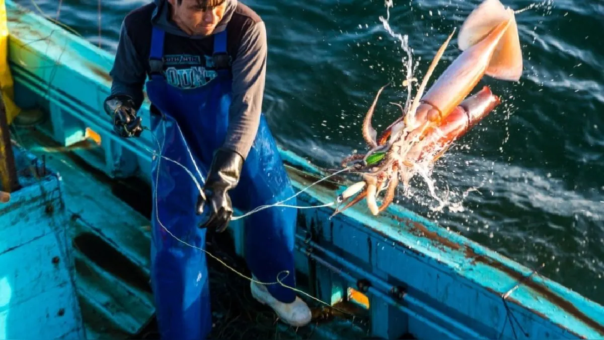 Escases de pota: Chile y Ecuador buscan también acordar nuevas regulaciones sobre la pesca internacional