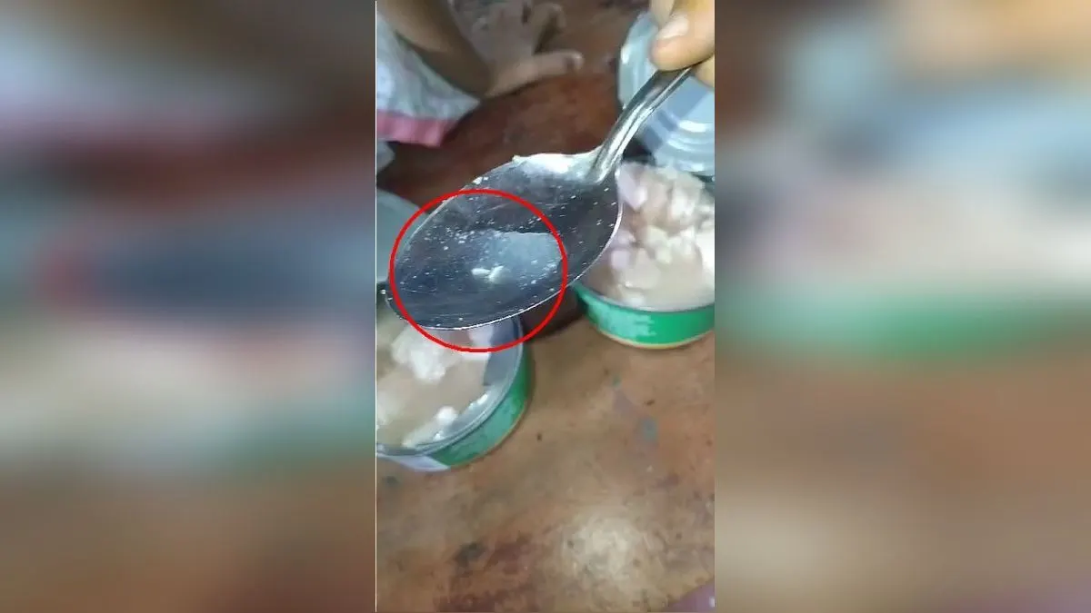 Jaén: encuentran larvas en conserva de pollo repartida por Qali Warma en escuela rural