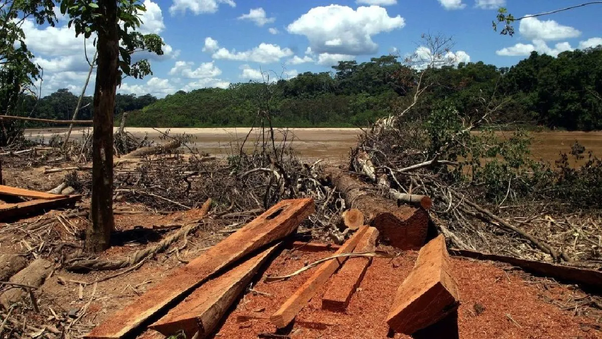 Impacto económico de las actividades ilegales equivale a más del 3 % del PBI
