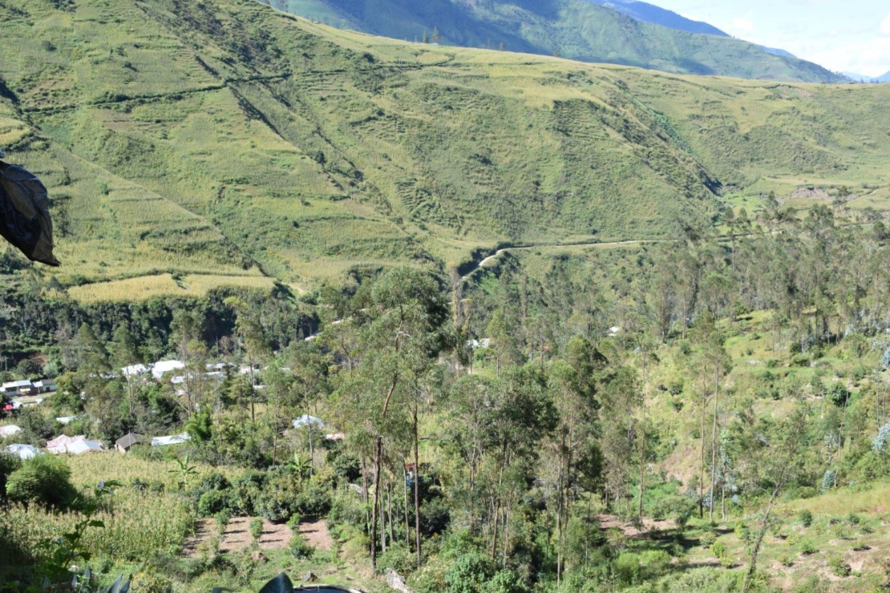 Junín: Declaran de interés la protección del área de conservación Otorongo – Pampa Lazo