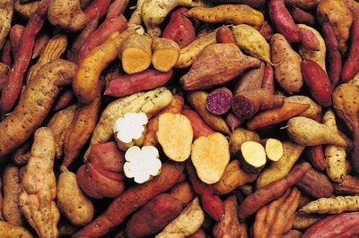 Descubre el tubérculo que combate el cáncer y regula el azúcar, pero que pocos incluyen en su alimentación