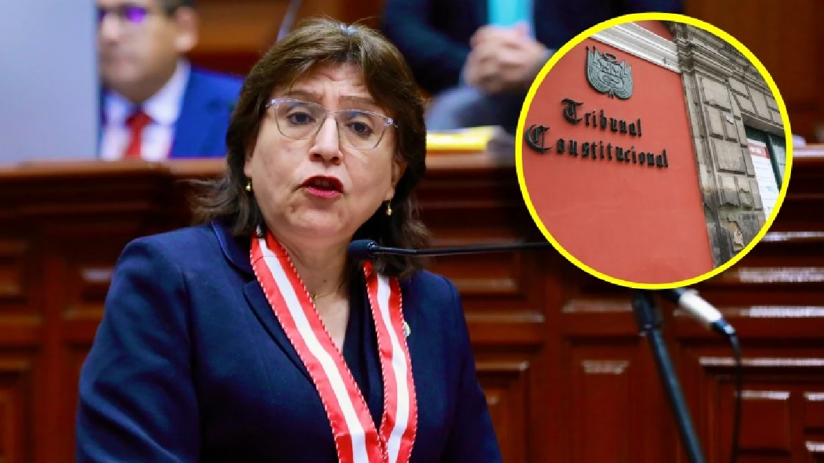 Delia Espinoza presentó demanda de inconstitucionalidad ante el TC contra modificación a ley de extinción de dominio