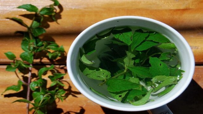 Especialistas recomiendan mates tradicionales para enfrentar las bajas temperaturas en el país