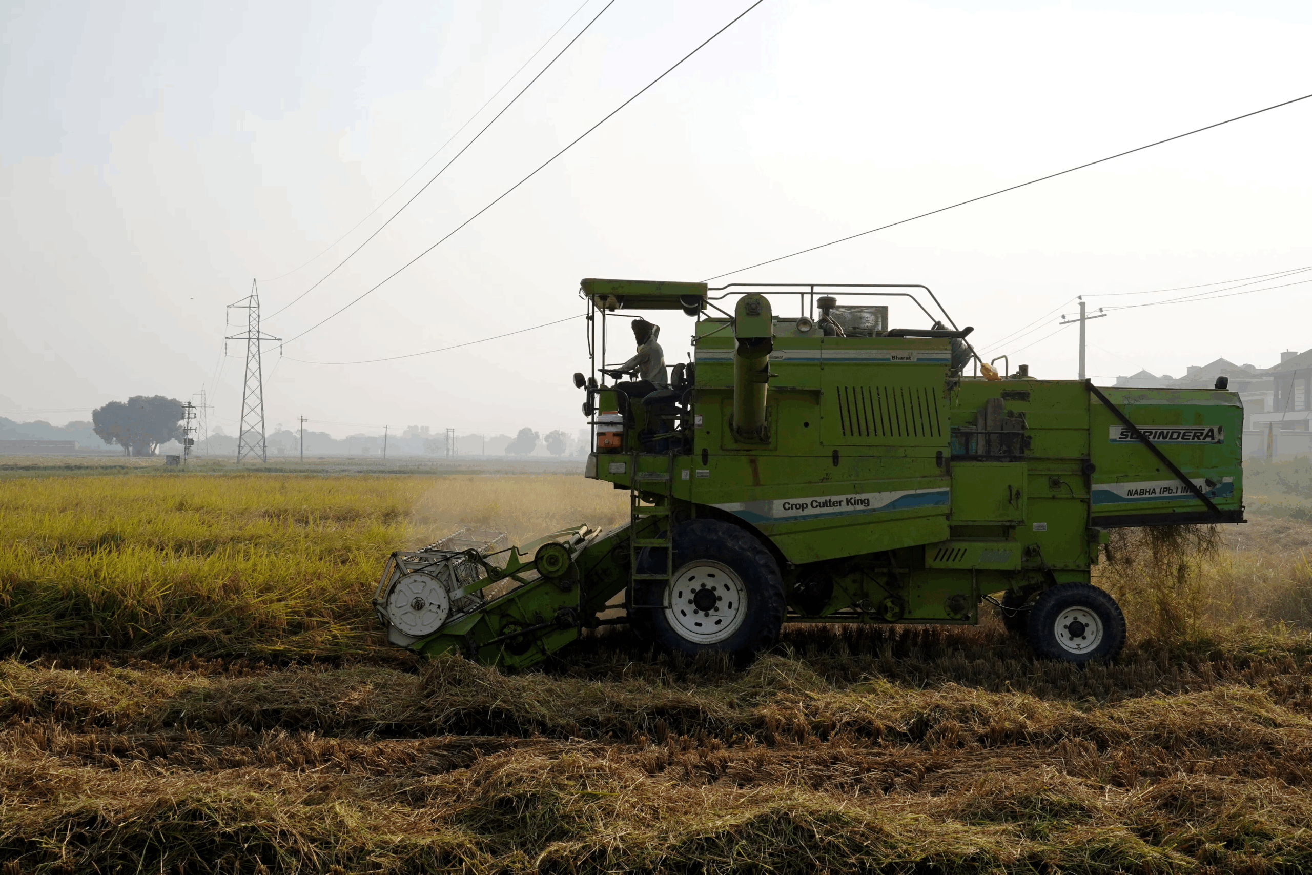 El mundo necesita una nueva revolución alimentaria. Así es cómo podemos empoderar a los agricultores