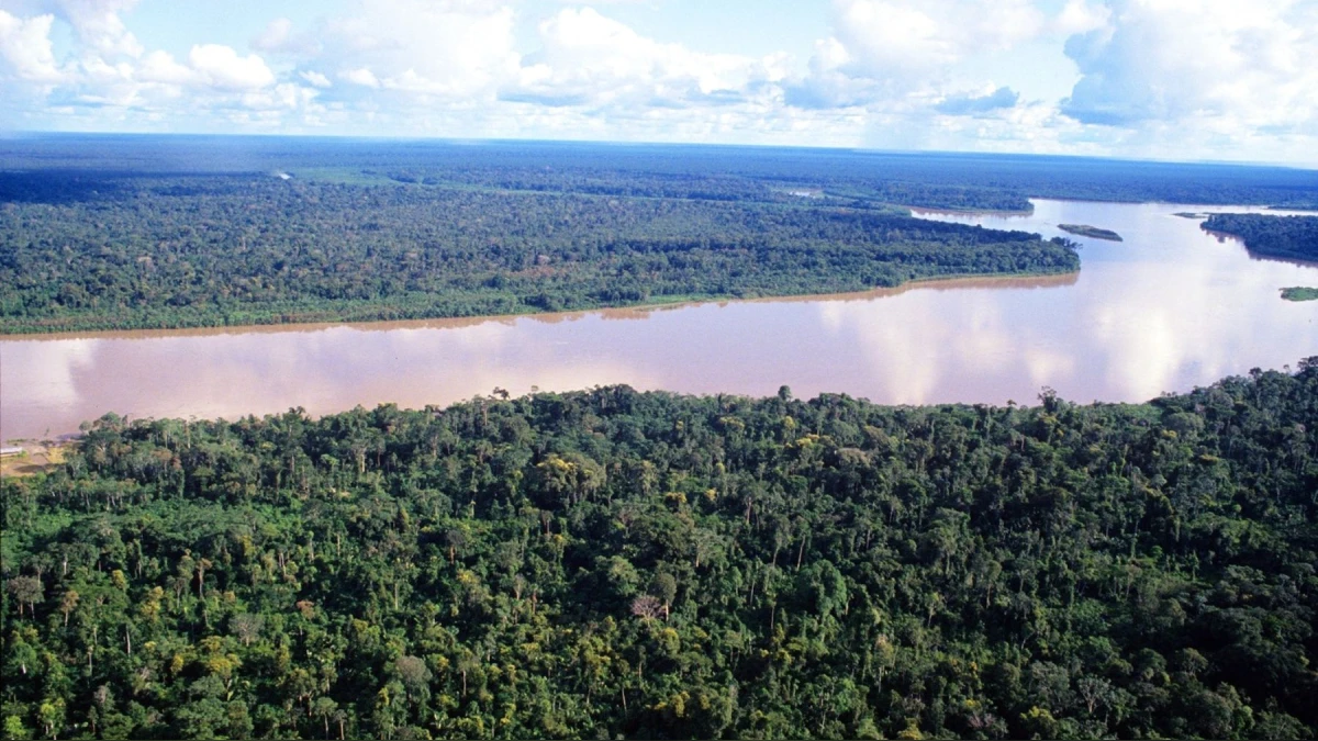 Perú ha perdido alrededor de 4,1 millones de hectáreas de vegetación natural en los últimos 40 años