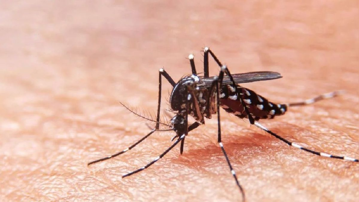 Minsa anuncia reducción del 81 % en la letalidad por dengue en el Perú