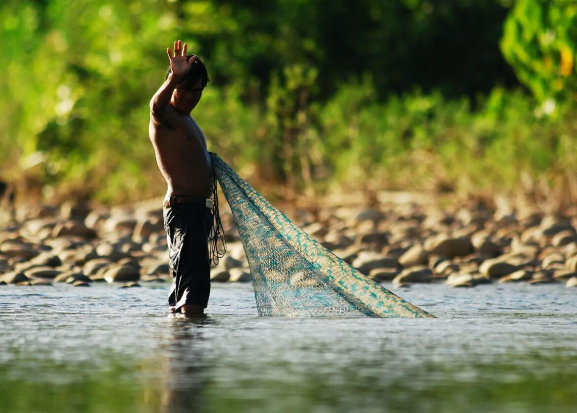 Perú lidera la conservación de alta calidad: Cuatro áreas naturales protegidas logran la prestigiosa certificación Lista Verde de la UICN