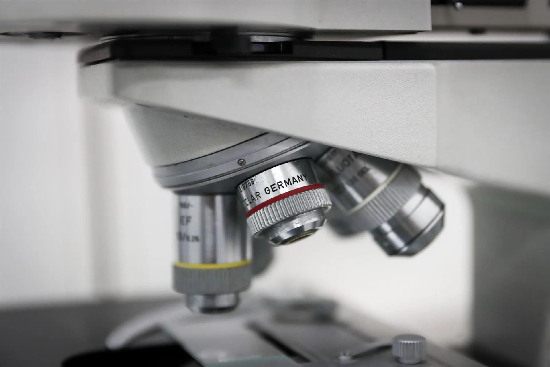 Un nuevo análisis de huellas del cáncer desde la génesis permite anticipar su progresión