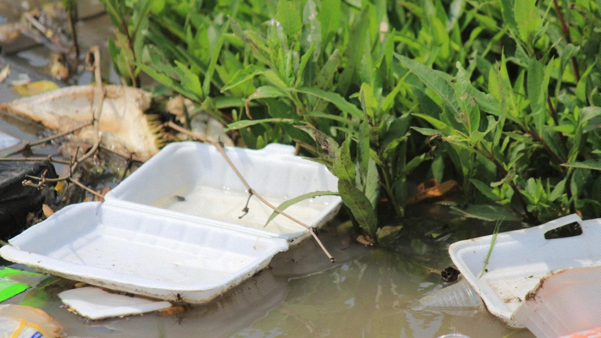Nueva sanción penal contra arrojo de basura en ríos: Congreso aprueba delito de exposición al peligro
