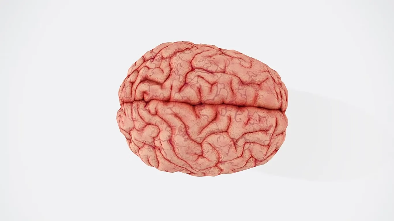 Se han identificado los alimentos más perjudiciales para la salud cerebral