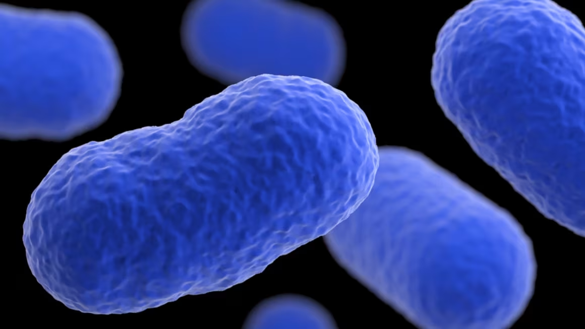 Qué se sabe del brote de listeria que ha dejado al menos 27 personas enfermas y 6 muertas en EE.UU.