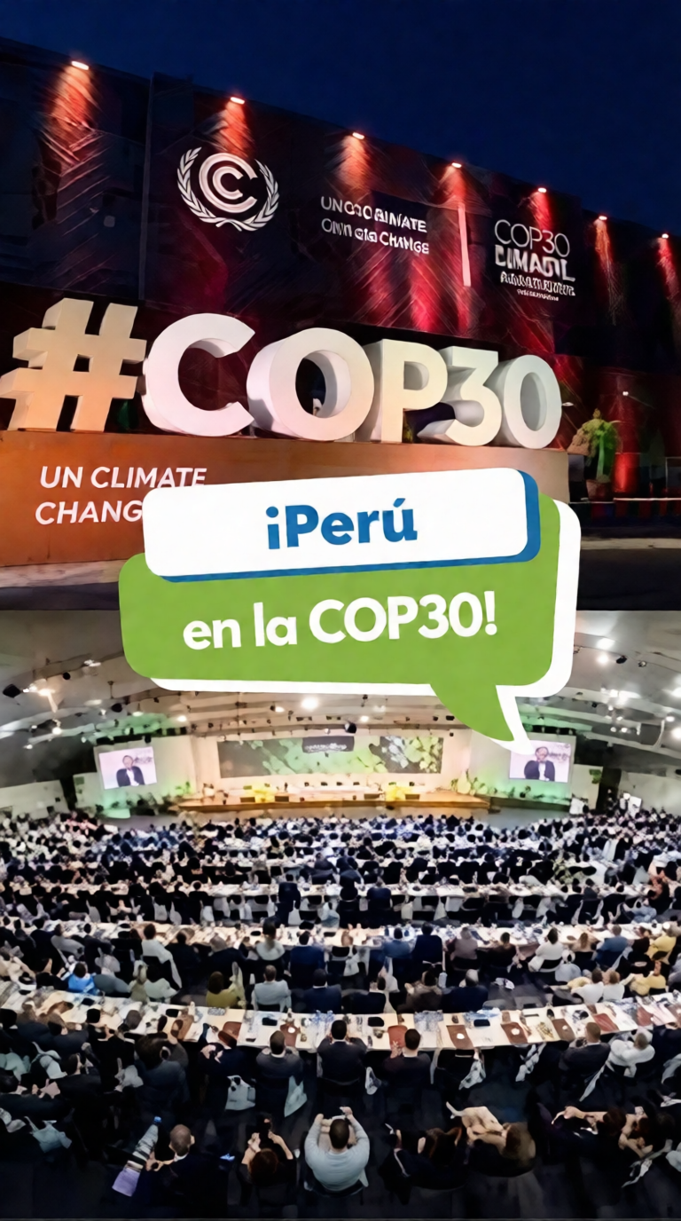 La COP 30 y la urgencia climática en Perú