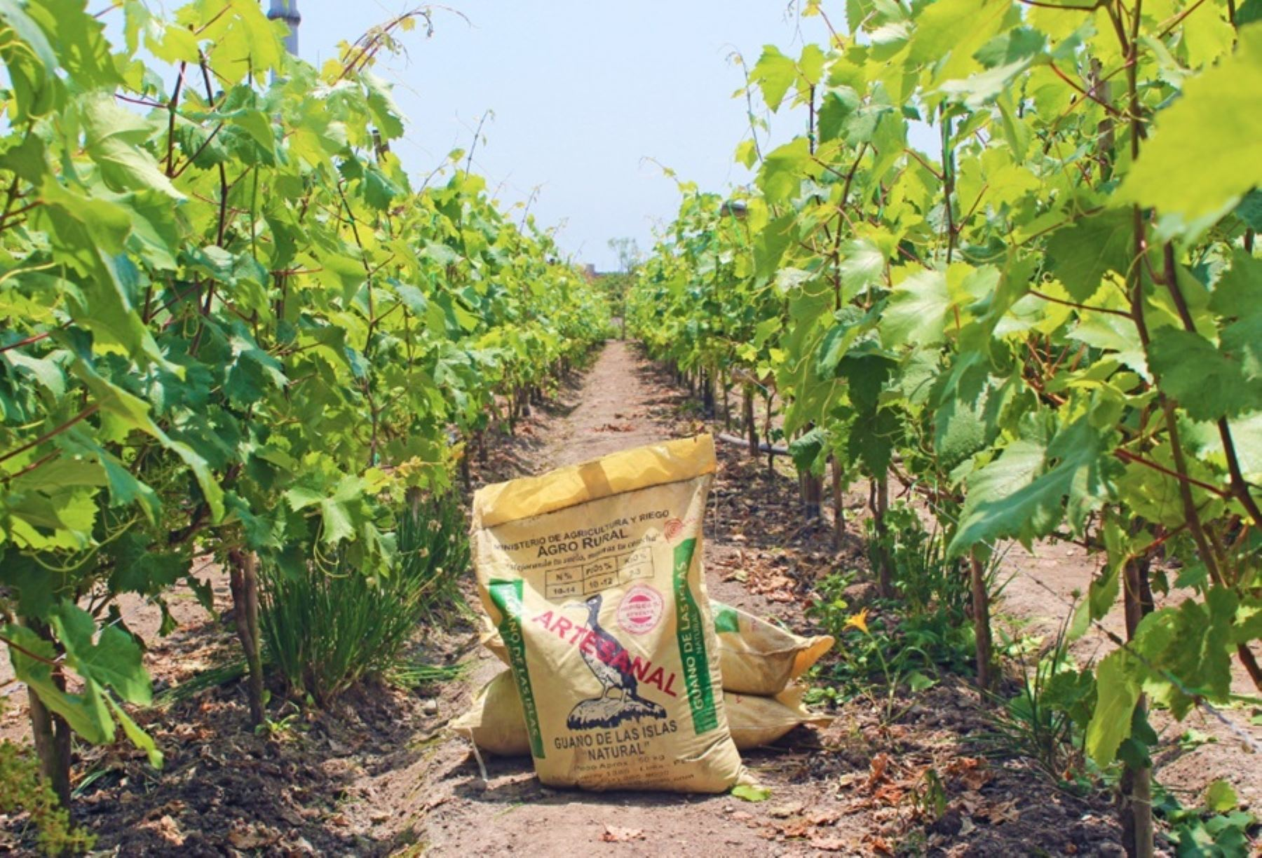 Balance 2025: Agro Rural entregó 20 mil toneladas de guano de isla a agricultura familiar