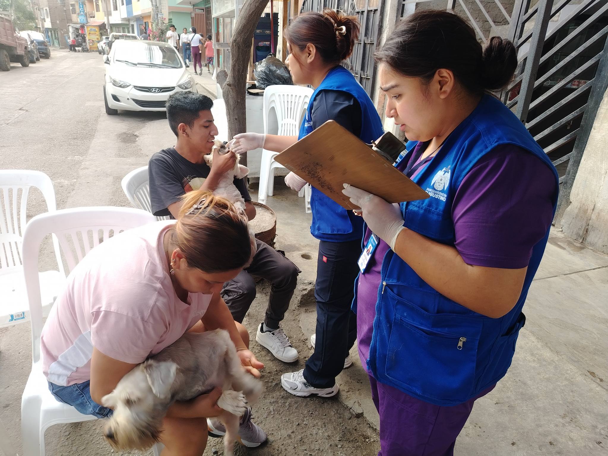 MUNICIPALIDAD DE EL AGUSTINO REALIZA EXITOSA JORNADA DE SALUD VETERINARIA GRATUITA